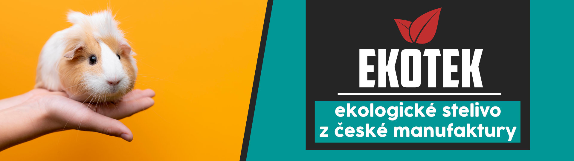 1910x540 ekotek banner blog 6